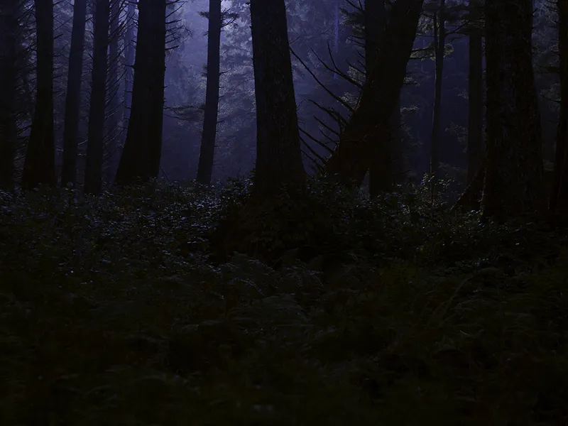 Mots pour Maux N°6 : Burn-out