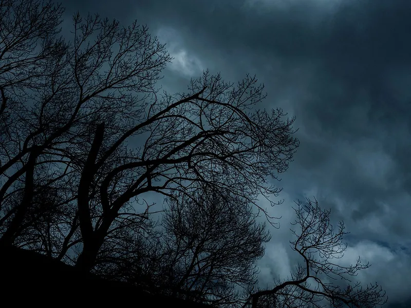 Mots pour Maux N°1 : Harcèlement sexuel