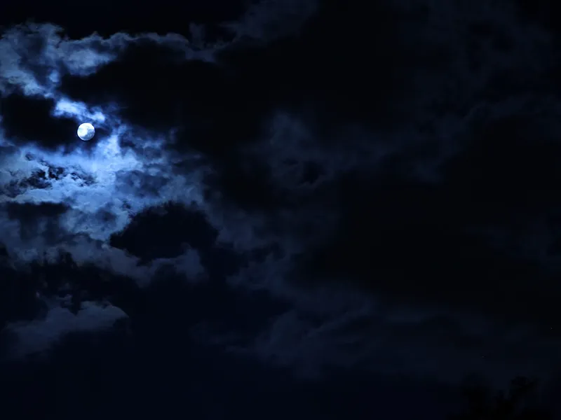 Mots pour Maux N°2 : Mobbing