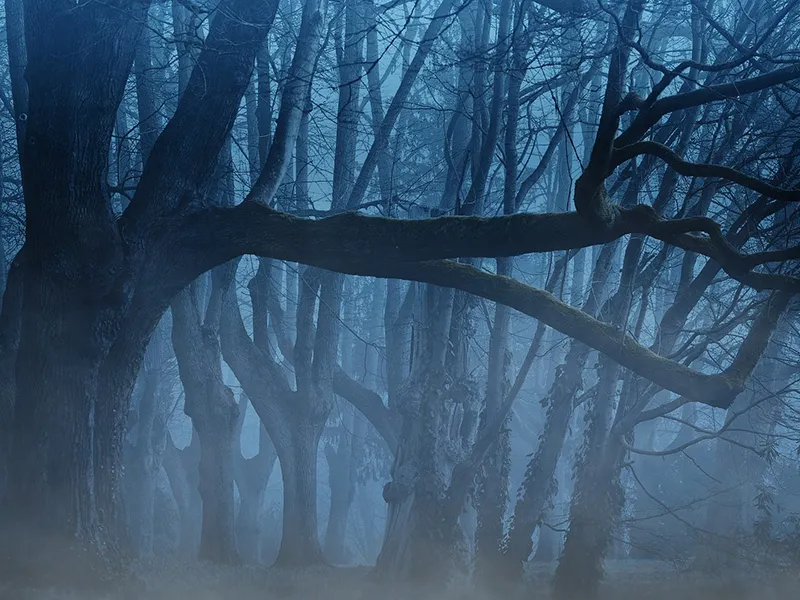 Personnes toxiques : comment les identifier et les gérer au travail