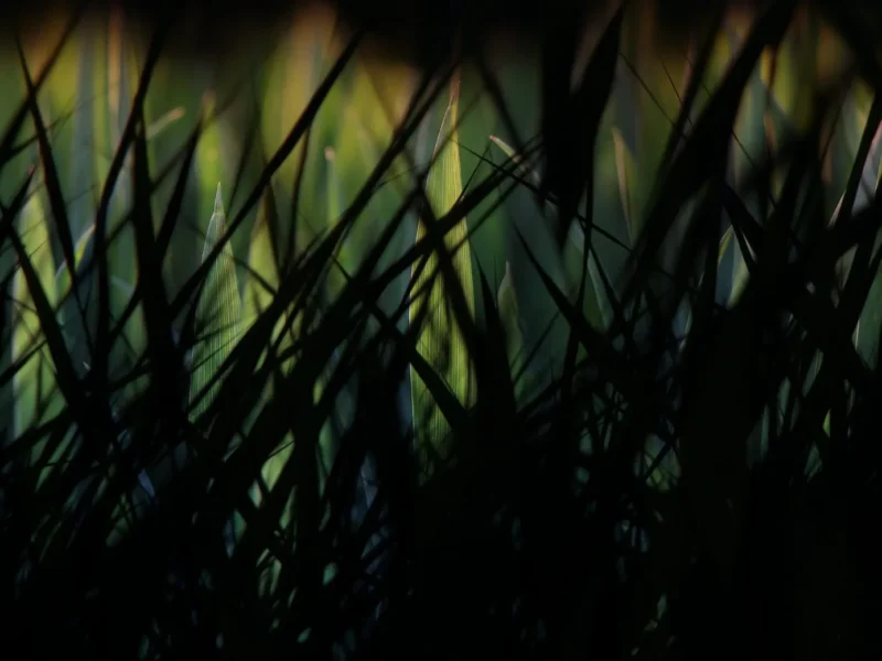 Mots pour Maux N°4 : Procrastination