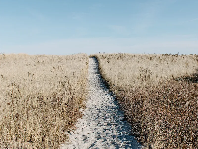 Vers une nouvelle manière d’envisager l’accompagnement individuel
